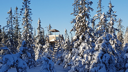 Utsiktstårn ved løypa