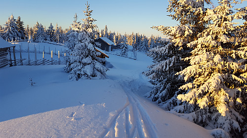På Rindåsen