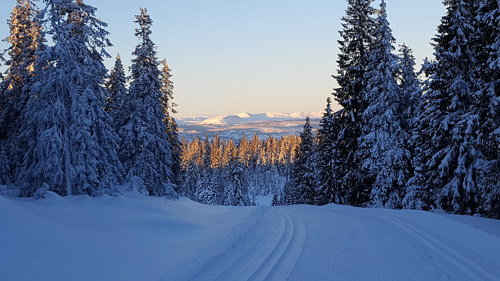 Utsikt mot Skei