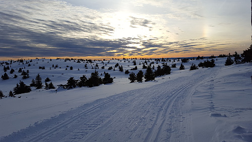 Mot Sjusjøfjellet