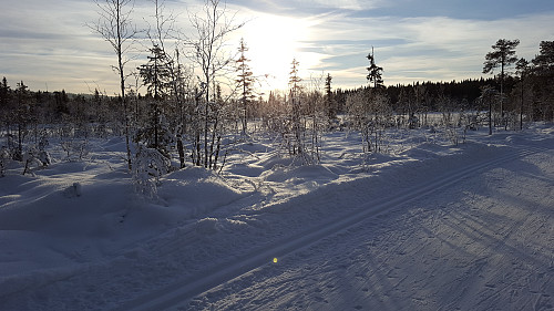 Mot Bottilmyra