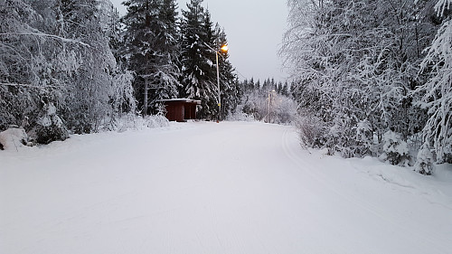 ved Hammerkoia