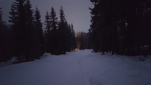 På Kanthaugen