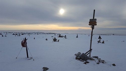 På Lunkefjell