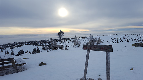 På Sjusjøfjellet