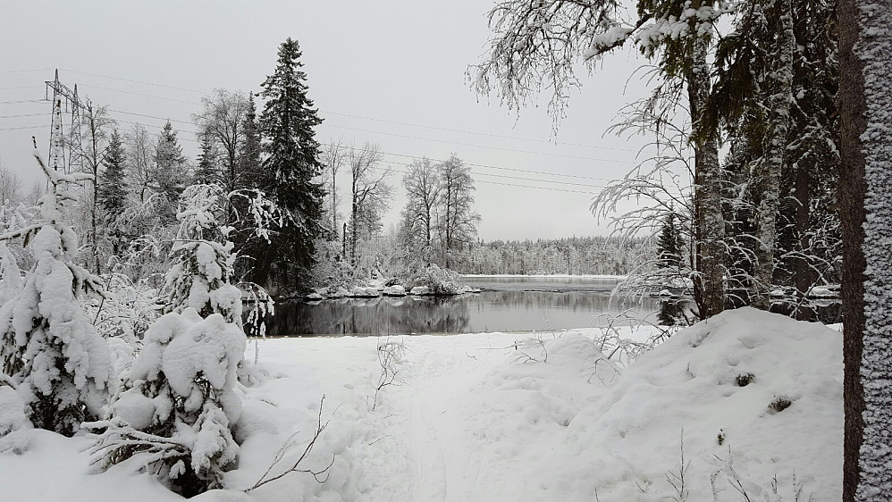 Ved Mesnaelva