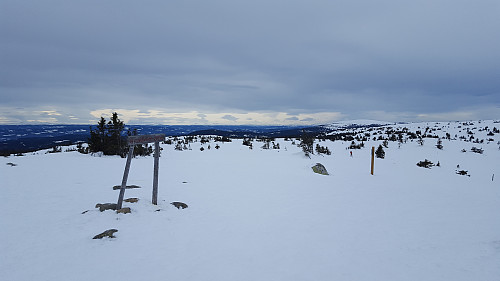 På Sjusjøfjellet