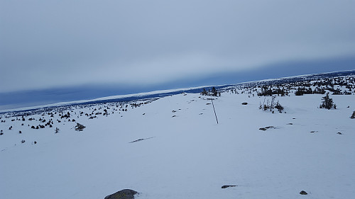 På Sjusjøfjellet