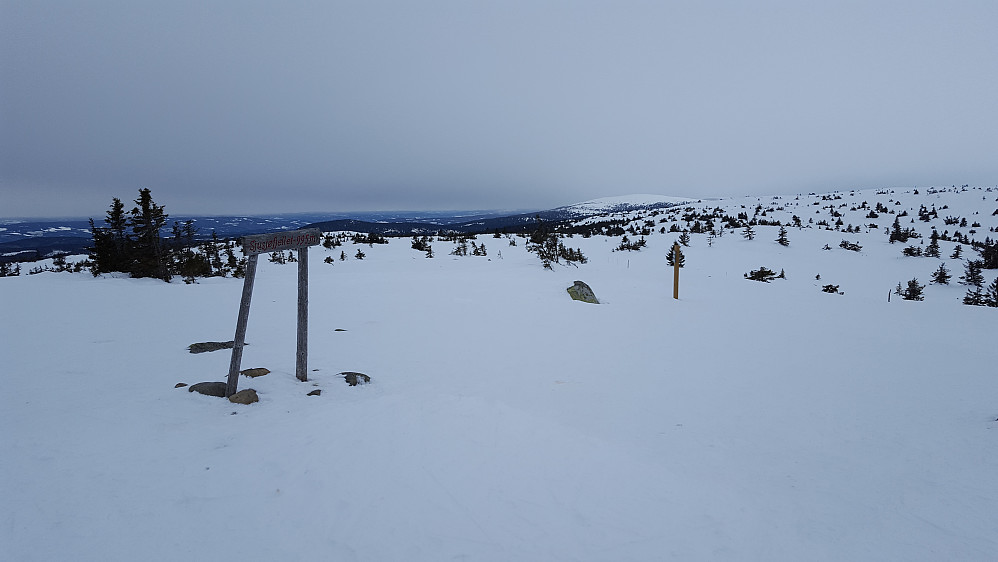På Sjusjøfjellet
