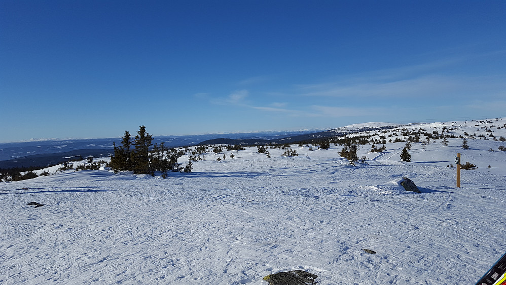 På Sjusjøfjellet