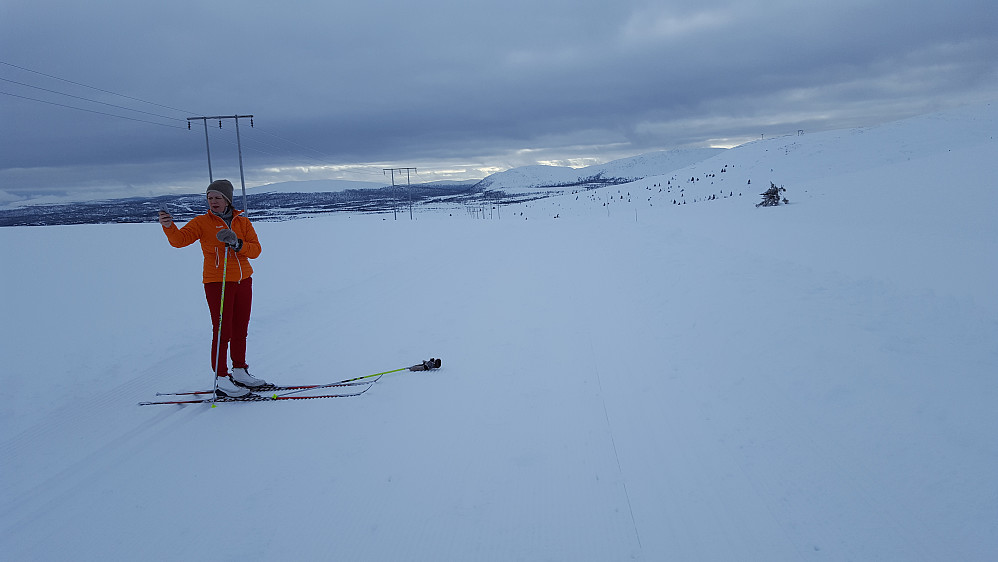 På Venabygdsfjellet