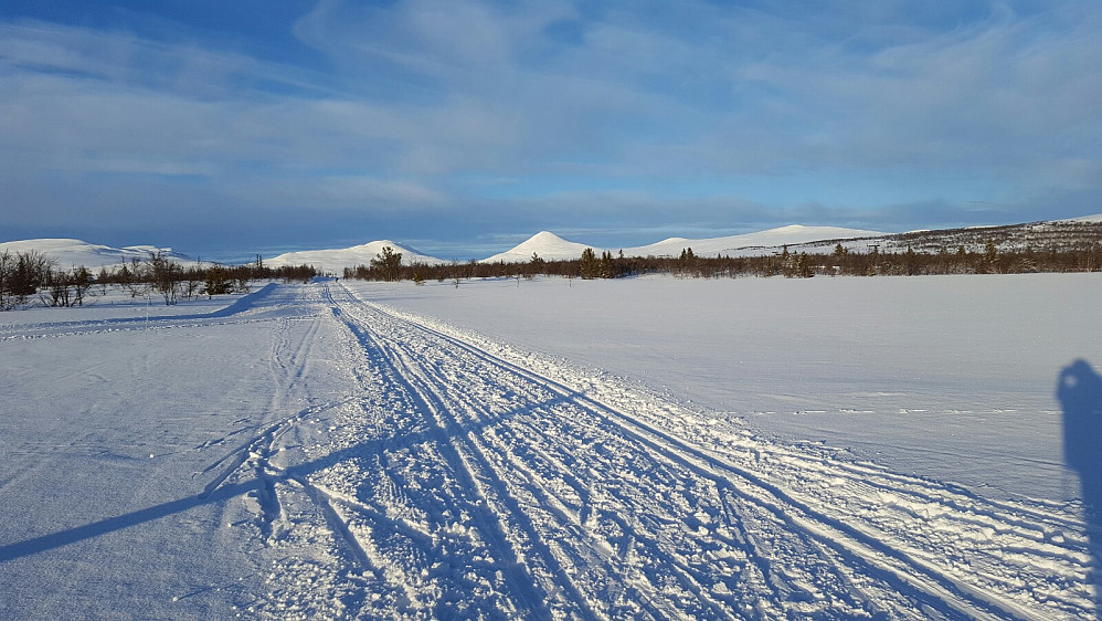 Ser innover mot Muen