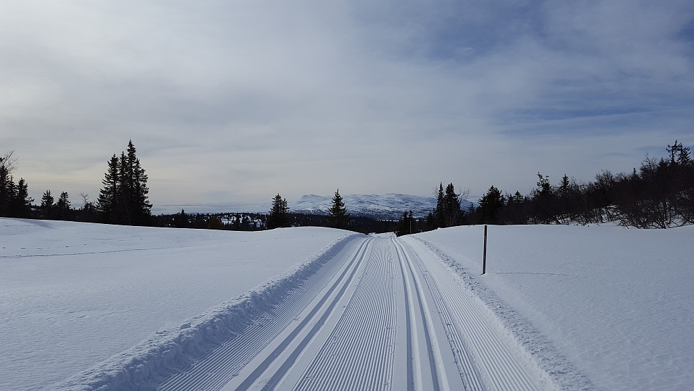 Ser mot Synnfjellet før jeg tar av mot Kjettberget