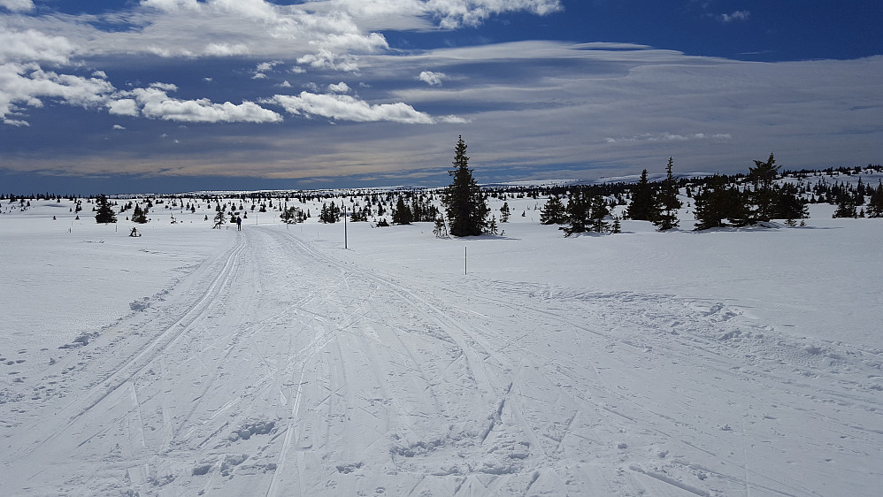 Løypa mot Lunkefjell