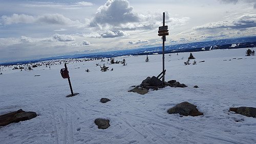 Fint på Lunkefjell