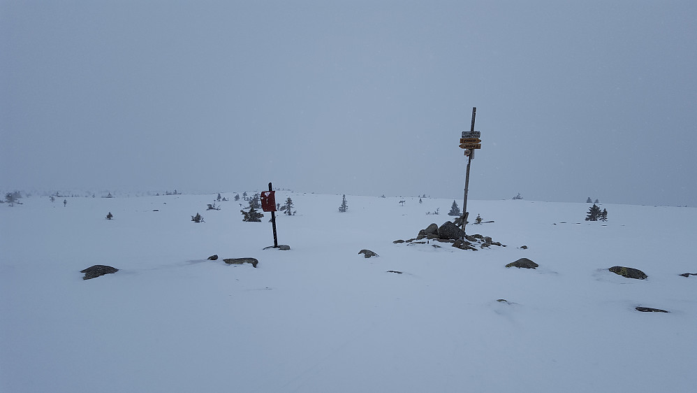 Grått på Lunkefjell i dag