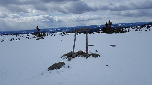På Sjusjøfjellet