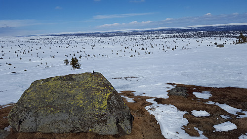 På Kriksfjell