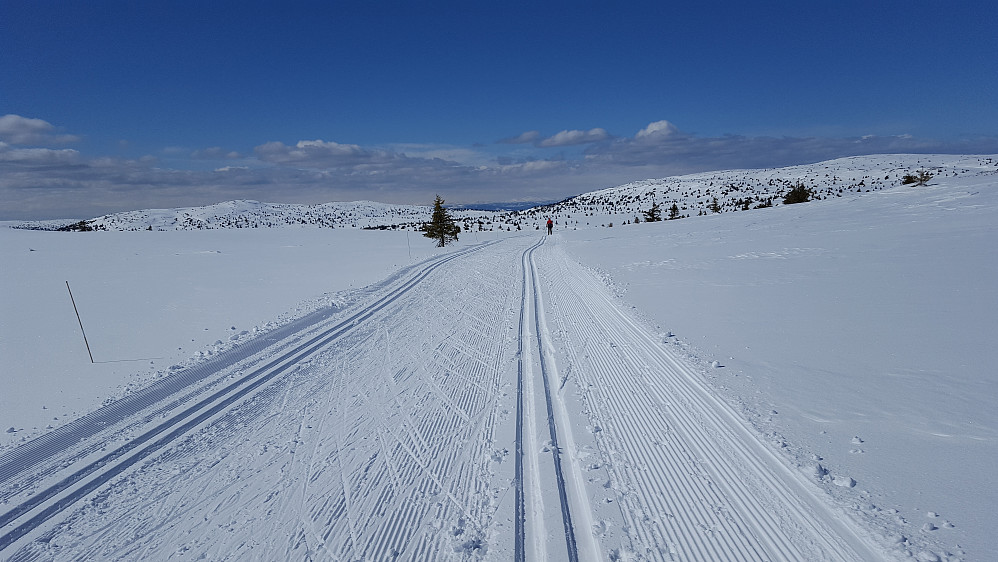 Innover Hitdalen