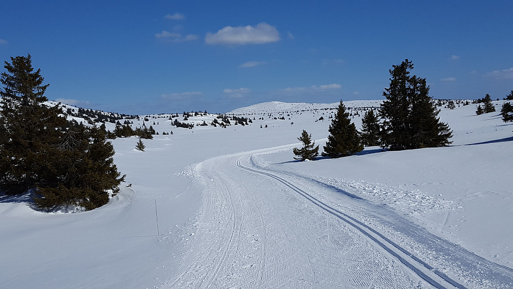 Tilbakeblikk på Kriksfjellet|fran
Med