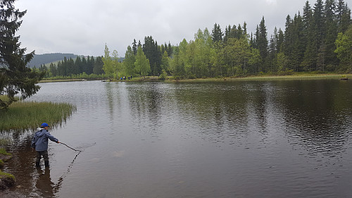 Ved Krokbua