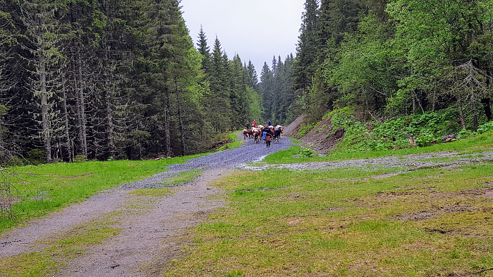 På Prestsletta