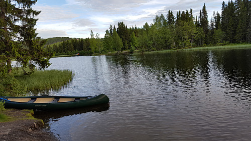 Ved Krokbua