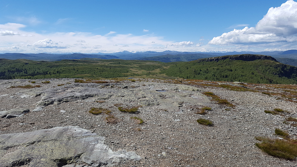 På Ormtjernkampen
