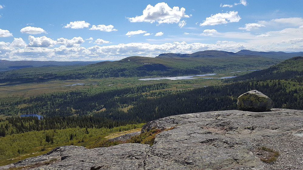 På Ormtjernkampen