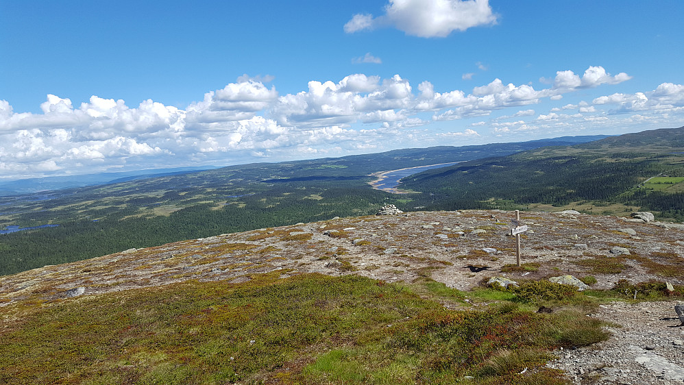 På Ormtjernkampen
