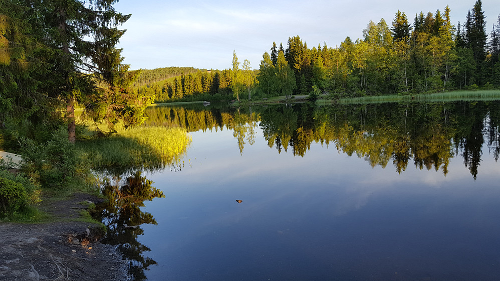 Ved Krokbua