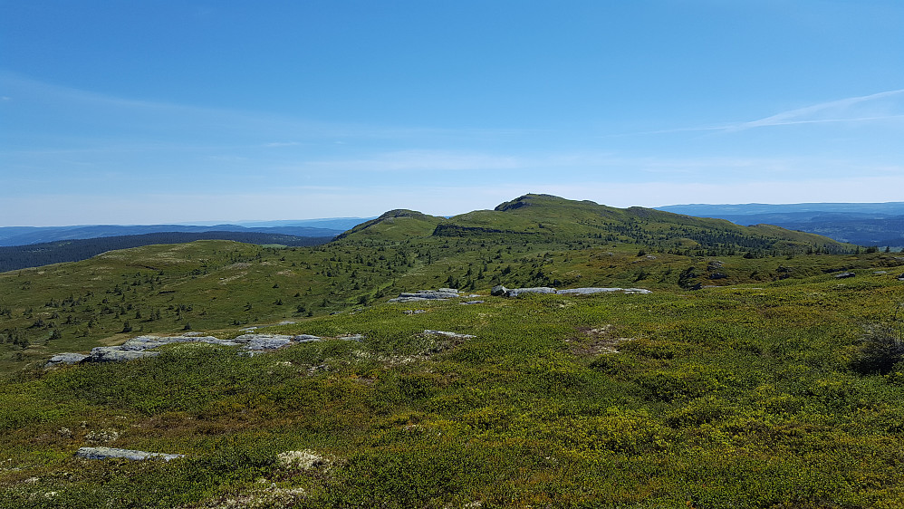 Utsikt mot Killikampen og Roåker fra Skjenafjellet