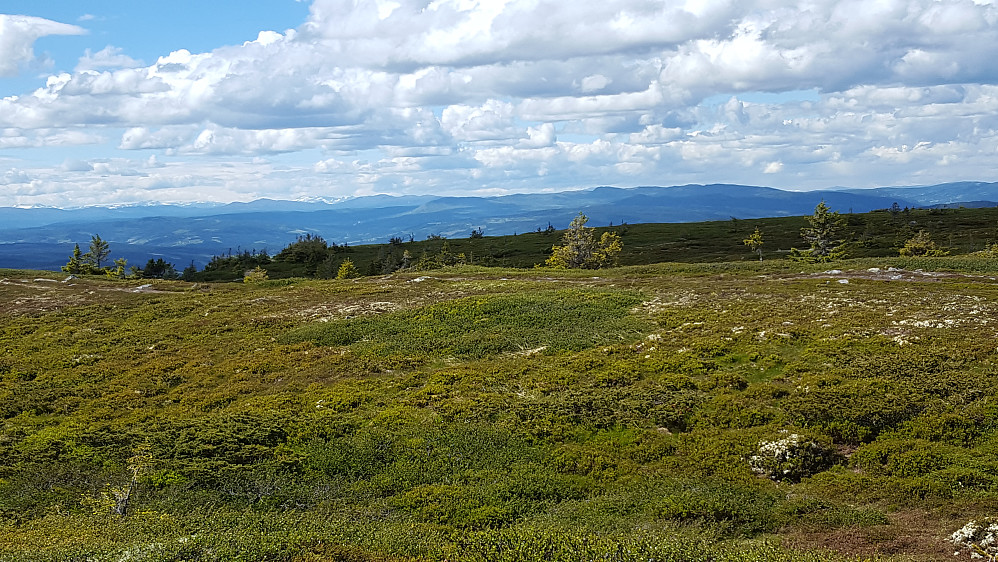 På Hafjell
