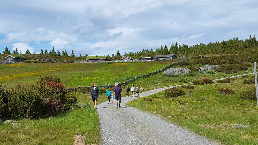Hans Thorvald, Per Ole, Kristine, Mia, Lars, Helge og Mari kommer tilbake etter å ha gått til Hærfjellet