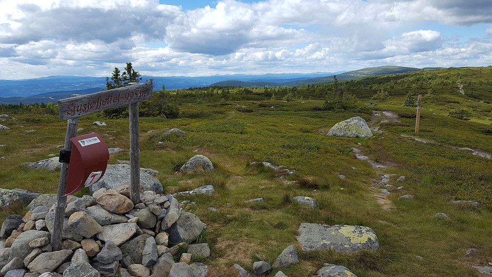 På Sjusjøfjellet