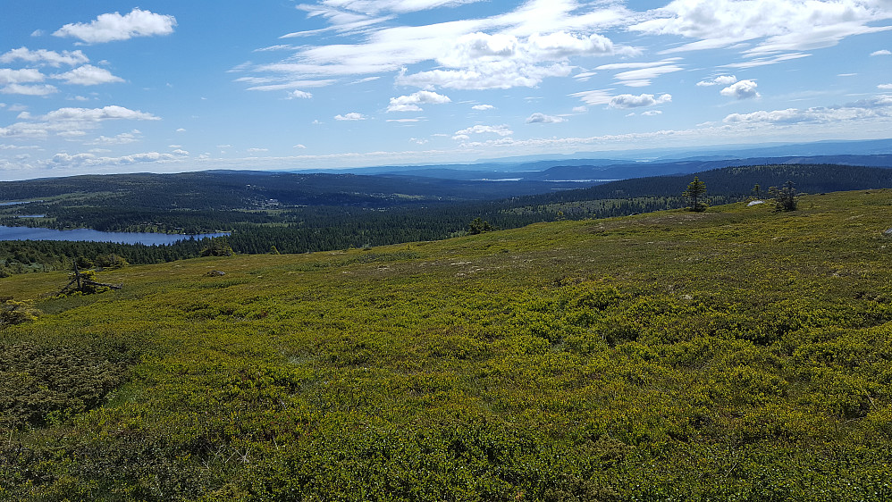 På veg ned fra Nevelfjell