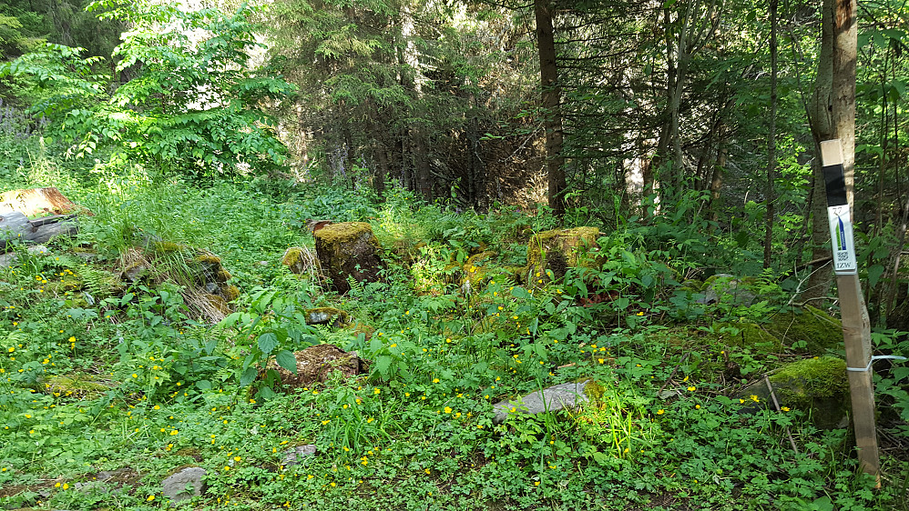 Høyenhall gammel boplass 