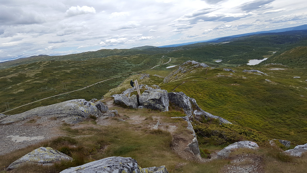 Dørdalsknappen