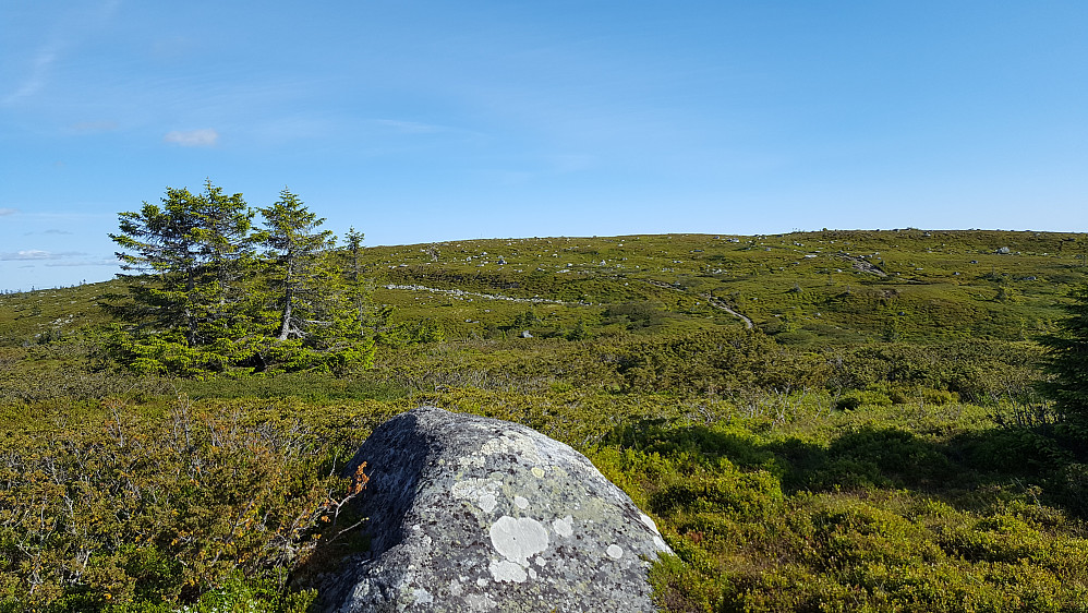 På Lunkefjell V1, mot Lunkefjell