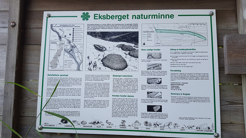 Informasjonstavle Der vi startet