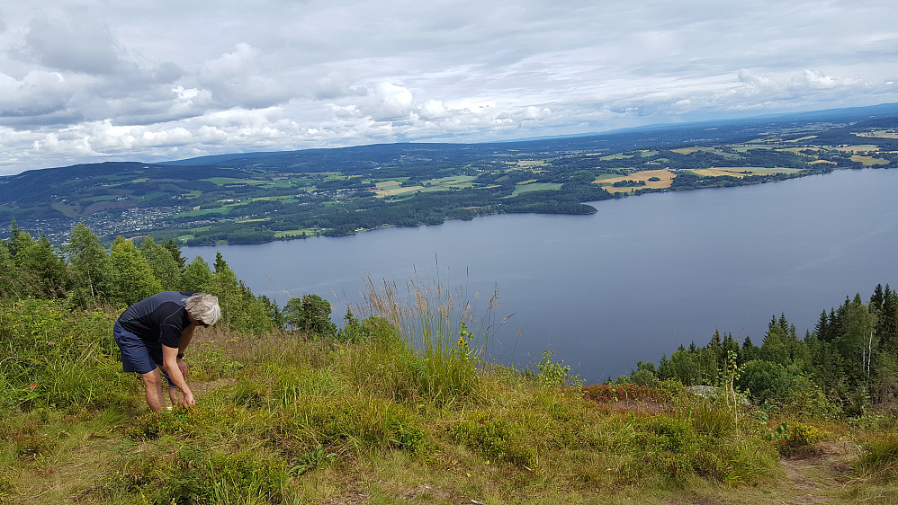 Per Ole på utsikten på Bangsberget