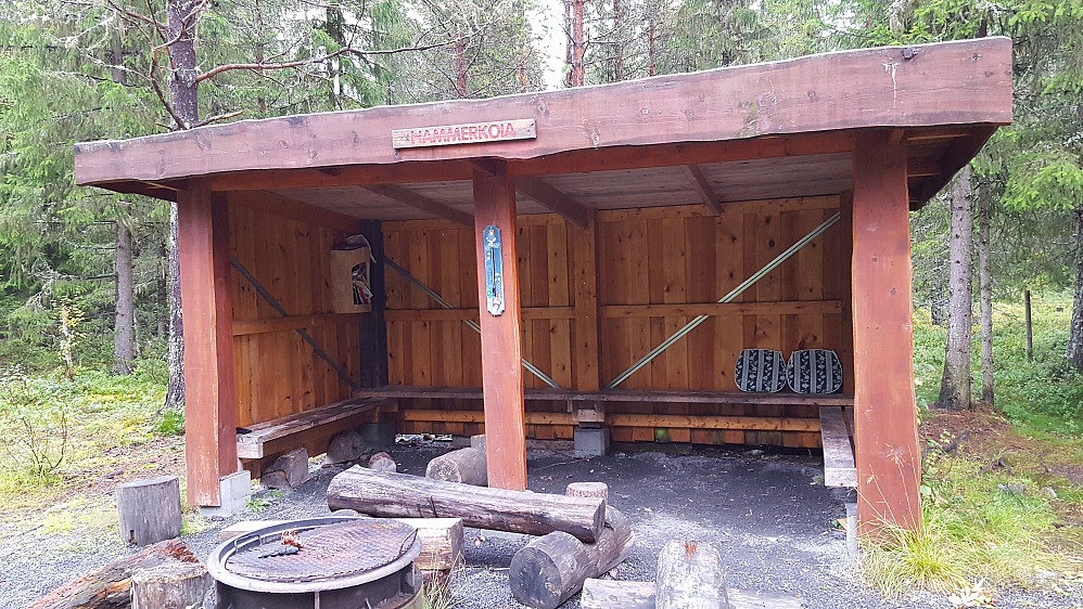 Ved Hammerkoia
