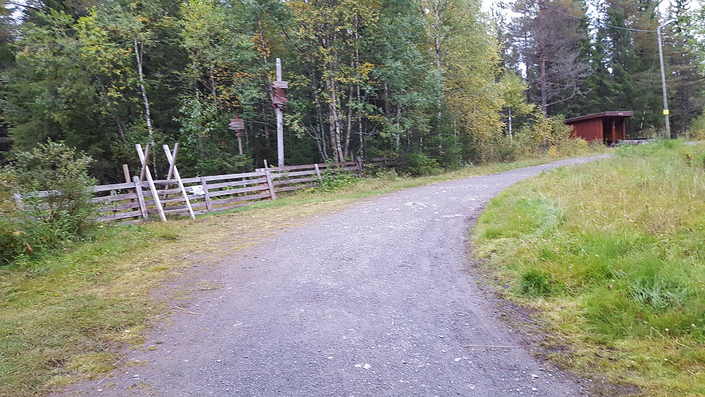 Ved Hammerkoia