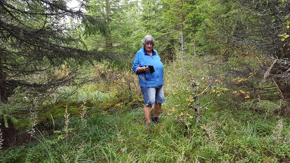 På toppunktet på Biskopåsen