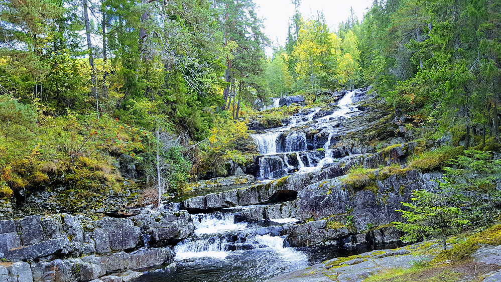 Langs Mesnaelva