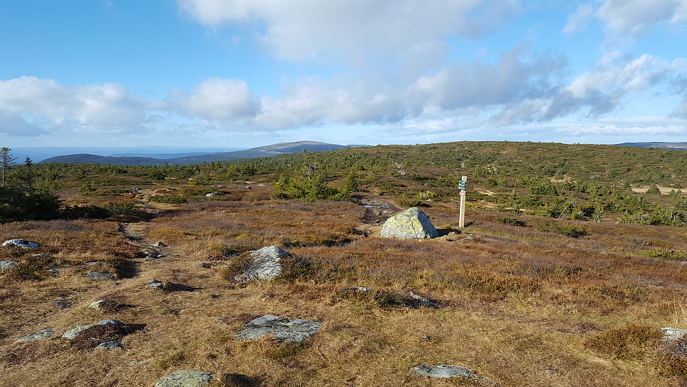 På Sjusjøfjellet