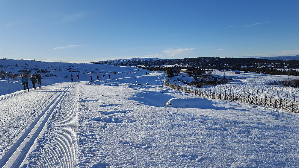 Ved Hita, mot Hafjelltoppen