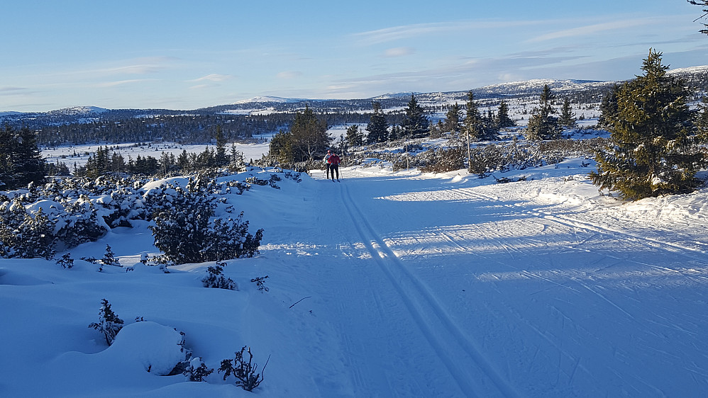 På Gjestebodåsen