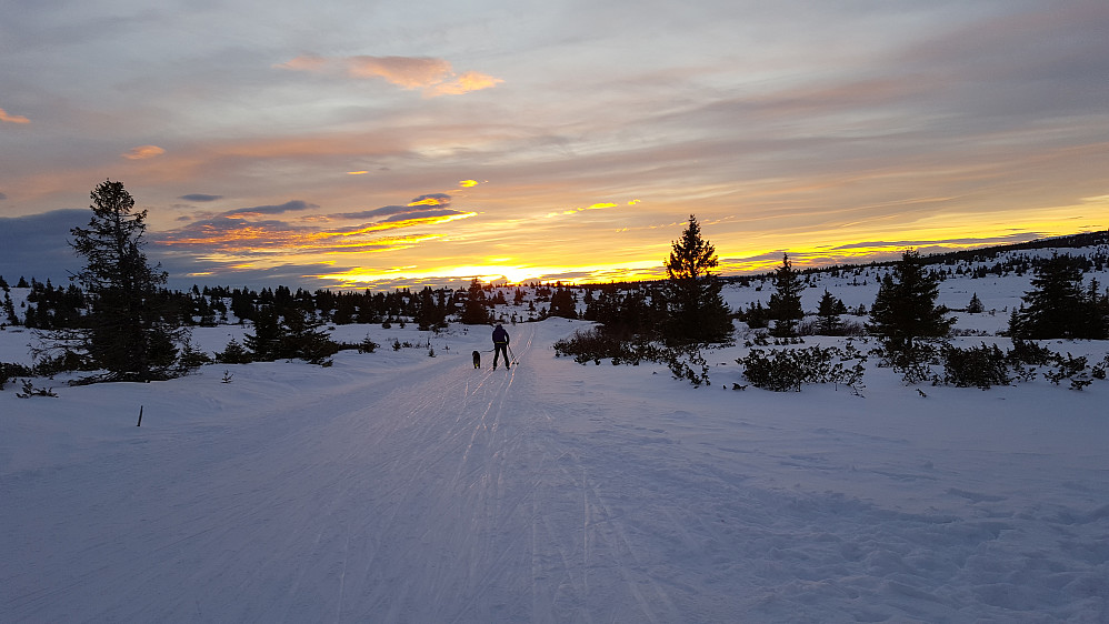 Ved krysset ved Melsjøvegen