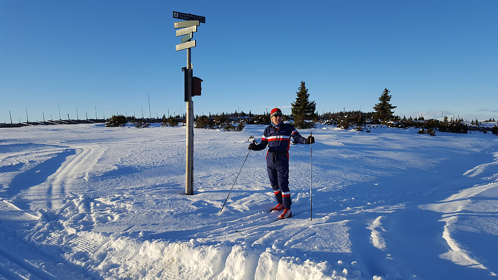 På Ringastylen